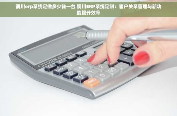 铜川erp系统定做多少钱一台 铜川ERP系统定制：客户关系管理与新功能提升效率