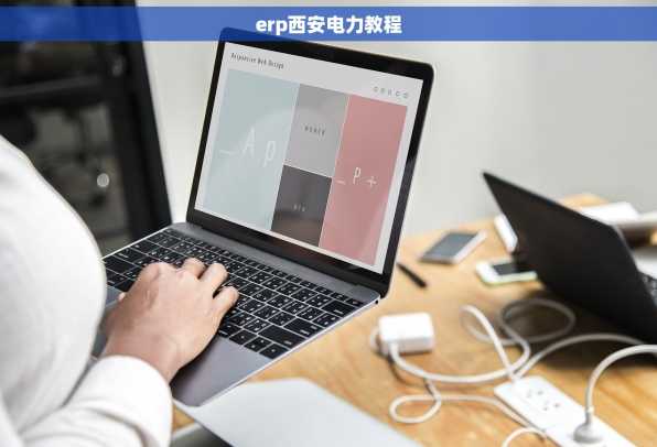 erp西安电力教程