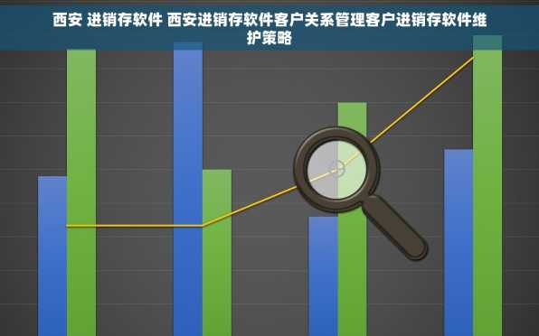 西安 进销存软件 西安进销存软件客户关系管理客户进销存软件维护策略