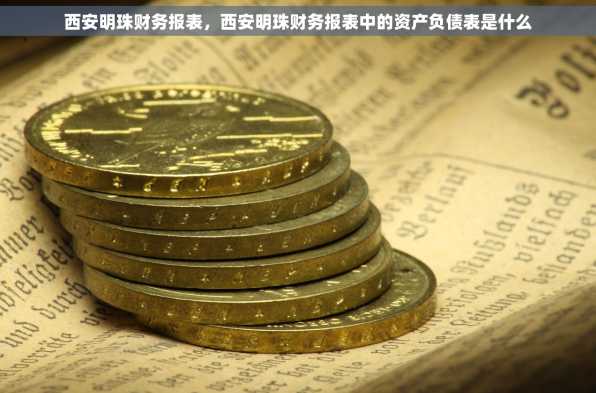 西安明珠财务报表，西安明珠财务报表中的资产负债表是什么