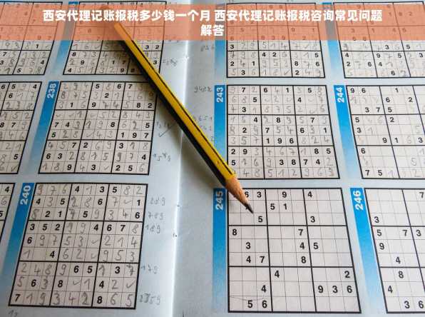 西安代理记账报税多少钱一个月 西安代理记账报税咨询常见问题解答