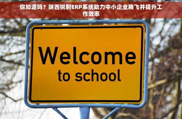 你知道吗？陕西锐制ERP系统助力中小企业腾飞并提升工作效率