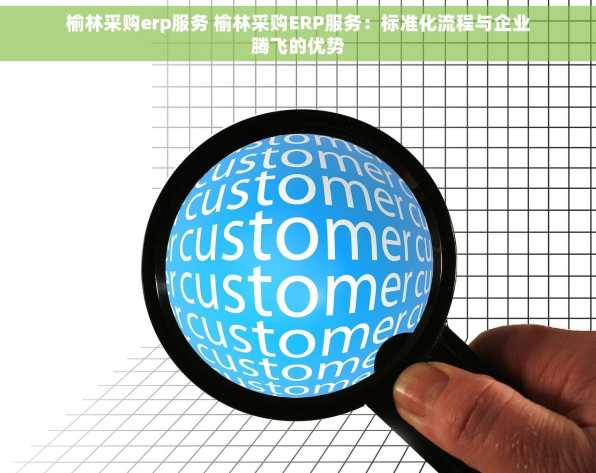 榆林采购erp服务 榆林采购ERP服务：标准化流程与企业腾飞的优势
