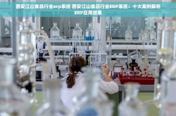 西安江山食品行业erp系统 西安江山食品行业ERP系统：十大案例解析ERP应用效果
