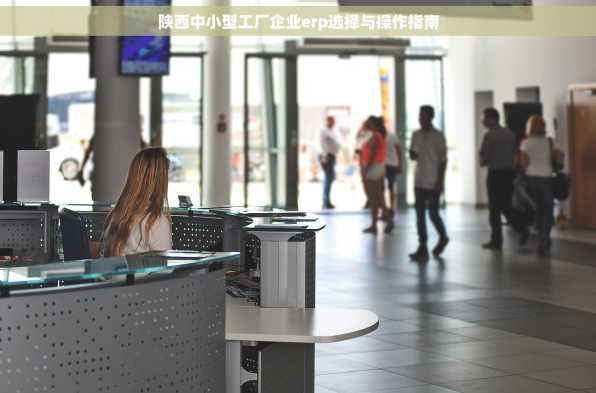 陕西中小型工厂企业erp选择与操作指南