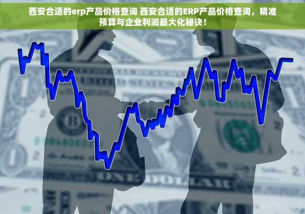 西安合适的erp产品价格查询 西安合适的ERP产品价格查询，精准预算与企业利润最大化秘诀！