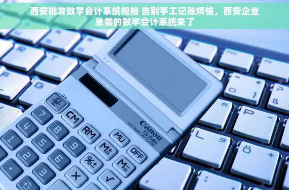 西安批发数字会计系统规格 告别手工记账烦恼，西安企业急需的数字会计系统来了
