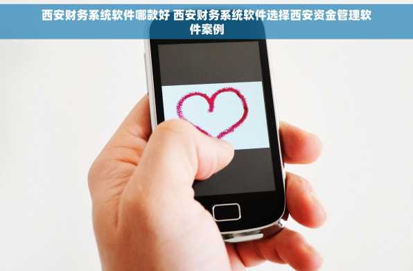 西安财务系统软件哪款好 西安财务系统软件选择西安资金管理软件案例
