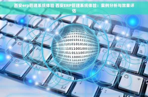 西安erp管理系统体验 西安ERP管理系统体验：案例分析与效果评估