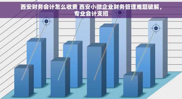 西安财务会计怎么收费 西安小微企业财务管理难题破解，专业会计支招