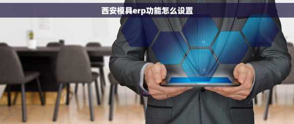 西安模具erp功能怎么设置