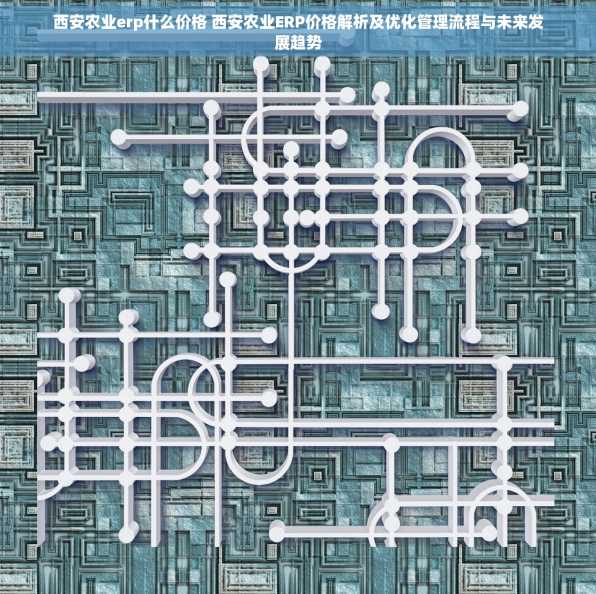 西安农业erp什么价格 西安农业ERP价格解析及优化管理流程与未来发展趋势