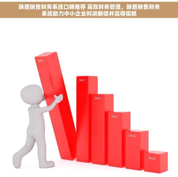 陕西销售财务系统口碑推荐 高效财务管理，陕西销售财务系统助力中小企业利润翻倍并赢得信赖