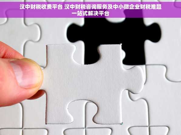 汉中财税收费平台 汉中财税咨询服务及中小微企业财税难题一站式解决平台