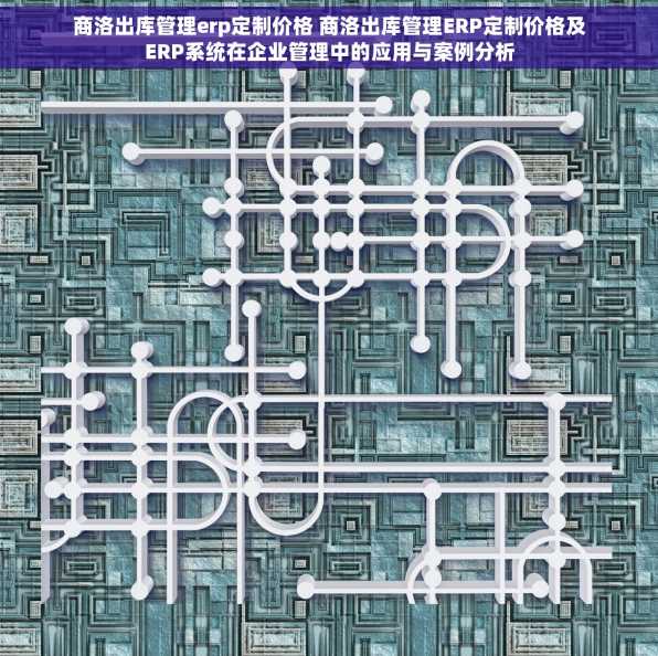 商洛出库管理erp定制价格 商洛出库管理ERP定制价格及ERP系统在企业管理中的应用与案例分析