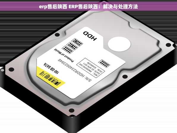 erp售后陕西 ERP售后陕西：解决与处理方法