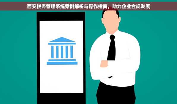 西安税务管理系统案例解析与操作指南，助力企业合规发展