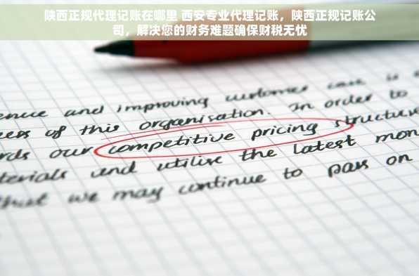 陕西正规代理记账在哪里 西安专业代理记账，陕西正规记账公司，解决您的财务难题确保财税无忧