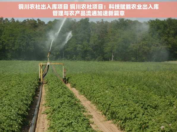 铜川农社出入库项目 铜川农社项目：科技赋能农业出入库管理与农产品流通加速新篇章