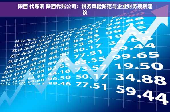 陕西 代账啊 陕西代账公司：税务风险防范与企业财务规划建议