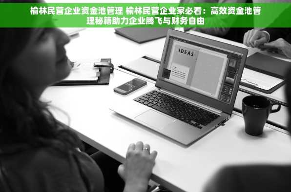 榆林民营企业资金池管理 榆林民营企业家必看：高效资金池管理秘籍助力企业腾飞与财务自由