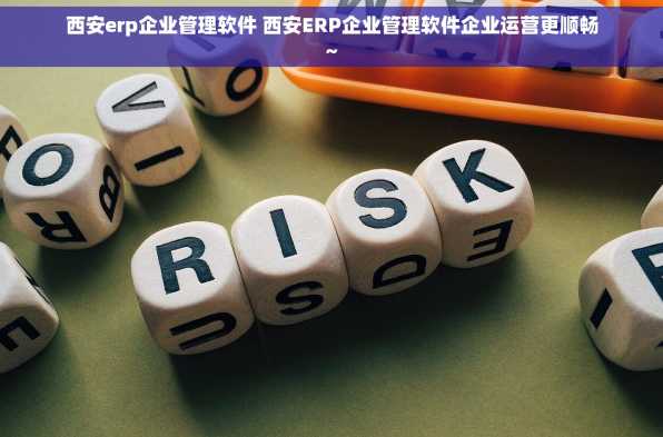 西安erp企业管理软件 西安ERP企业管理软件企业运营更顺畅~
