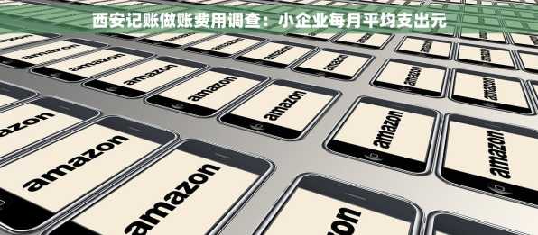 西安记账做账费用调查：小企业每月平均支出元