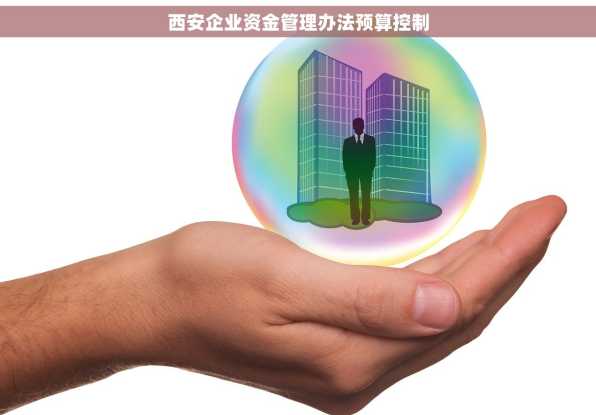 西安企业资金管理办法预算控制