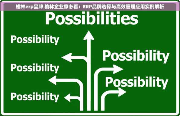 榆林erp品牌 榆林企业家必看：ERP品牌选择与高效管理应用实例解析