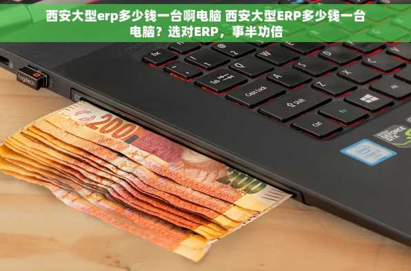 西安大型erp多少钱一台啊电脑 西安大型ERP多少钱一台电脑？选对ERP，事半功倍