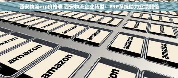 西安物流erp价格表 西安物流企业转型：ERP系统助力业绩翻倍