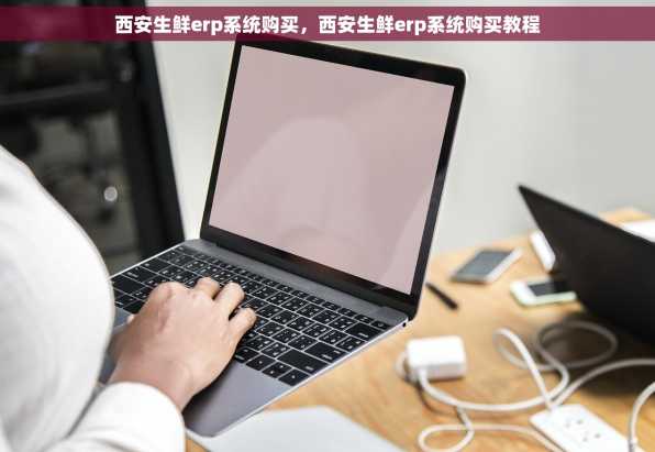 西安生鲜erp系统购买，西安生鲜erp系统购买教程