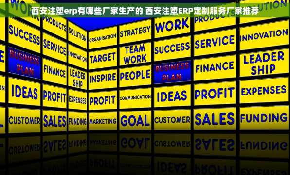 西安注塑erp有哪些厂家生产的 西安注塑ERP定制服务厂家推荐