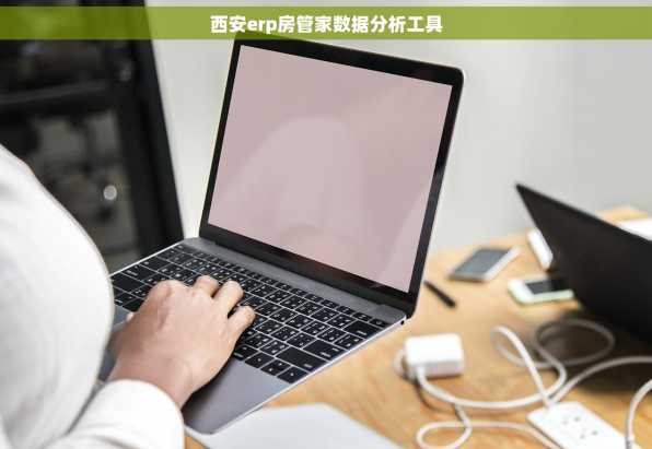 西安erp房管家数据分析工具
