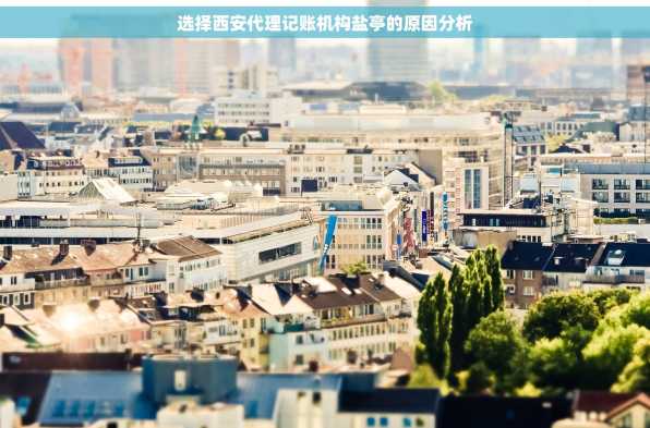 选择西安代理记账机构盐亭的原因分析