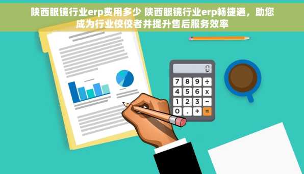 陕西眼镜行业erp费用多少 陕西眼镜行业erp畅捷通，助您成为行业佼佼者并提升售后服务效率