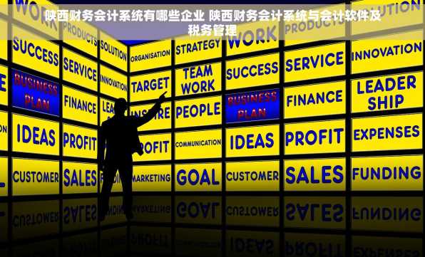 陕西财务会计系统有哪些企业 陕西财务会计系统与会计软件及税务管理