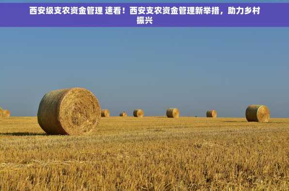 西安级支农资金管理 速看！西安支农资金管理新举措，助力乡村振兴