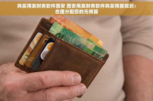 购买用友财务软件西安 西安用友财务软件购买预算规划：合理分配您的元预算