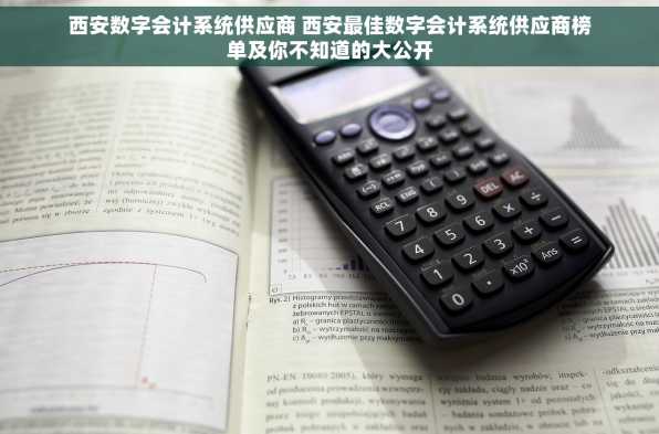 西安数字会计系统供应商 西安最佳数字会计系统供应商榜单及你不知道的大公开