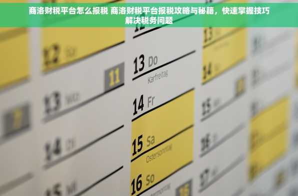 商洛财税平台怎么报税 商洛财税平台报税攻略与秘籍，快速掌握技巧解决税务问题