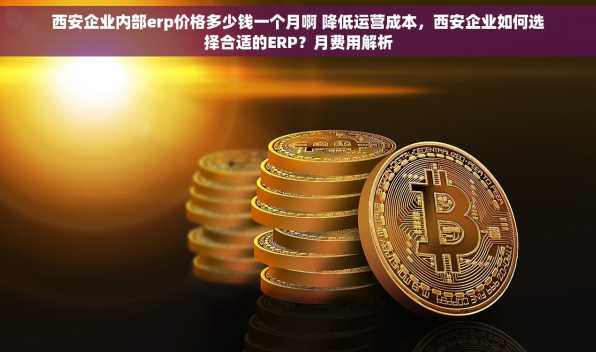 西安企业内部erp价格多少钱一个月啊 降低运营成本，西安企业如何选择合适的ERP？月费用解析