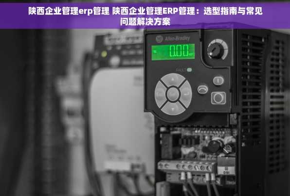 陕西企业管理erp管理 陕西企业管理ERP管理：选型指南与常见问题解决方案