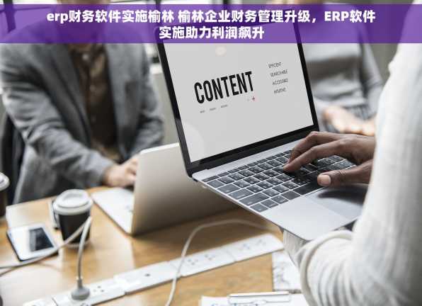 erp财务软件实施榆林 榆林企业财务管理升级，ERP软件实施助力利润飙升