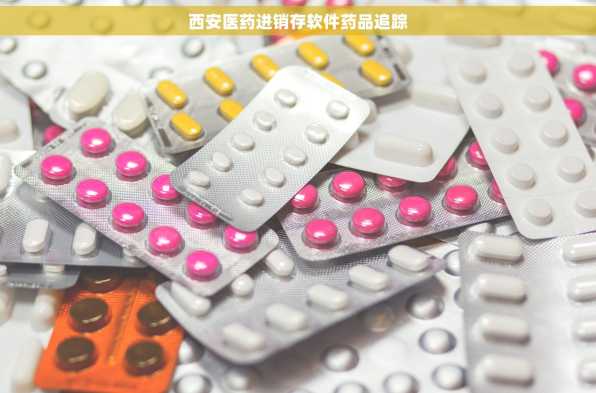 西安医药进销存软件药品追踪