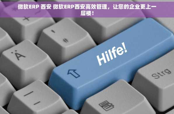 微软ERP 西安 微软ERP西安高效管理，让您的企业更上一层楼！