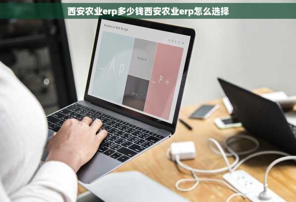 西安农业erp多少钱西安农业erp怎么选择