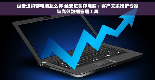 延安进销存电脑怎么样 延安进销存电脑：客户关系维护专家与高效数据管理工具