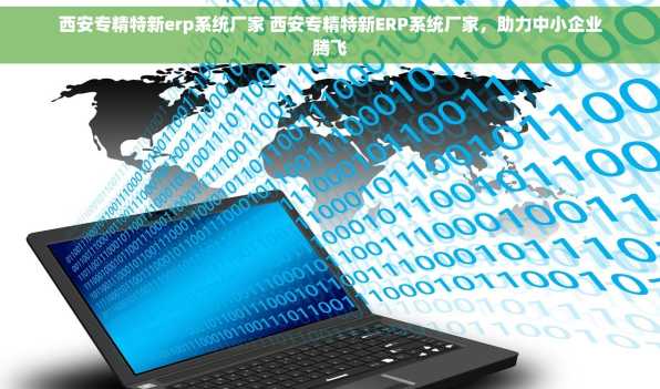 西安专精特新erp系统厂家 西安专精特新ERP系统厂家，助力中小企业腾飞