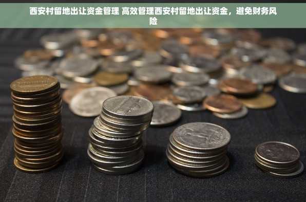 西安村留地出让资金管理 高效管理西安村留地出让资金，避免财务风险
